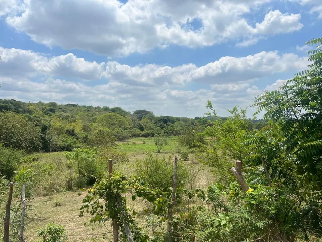 Venta 8.5 Has, con Galpón de 1000 m² Vía a La Costa Km. 43, Al Pie de La Vía. Guayas — imagen 5