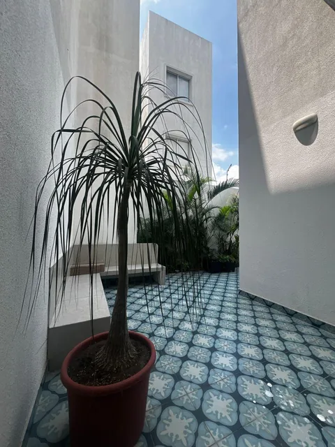 En Venta Departamento Planta Baja y Patio en Urb. Belice - Km. 3.5 Samborondon, 130 m², Guayas — imagen 4