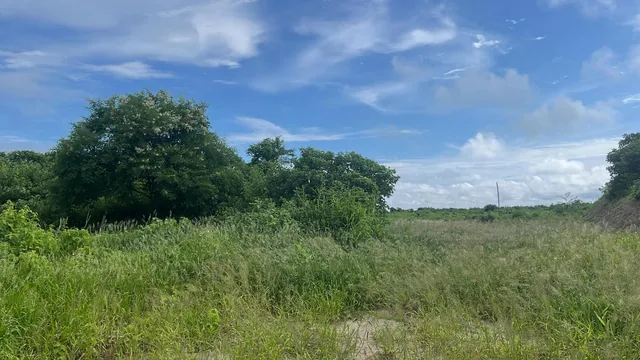 Vendo Terreno 60.000 m² en La Ruta del Spondylus Puerto Cayo Manantiales, Manabí — imagen 5