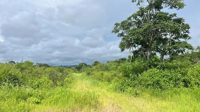 Vendo Terreno 60.000 m² en La Ruta del Spondylus Puerto Cayo Manantiales, Manabí — imagen 4