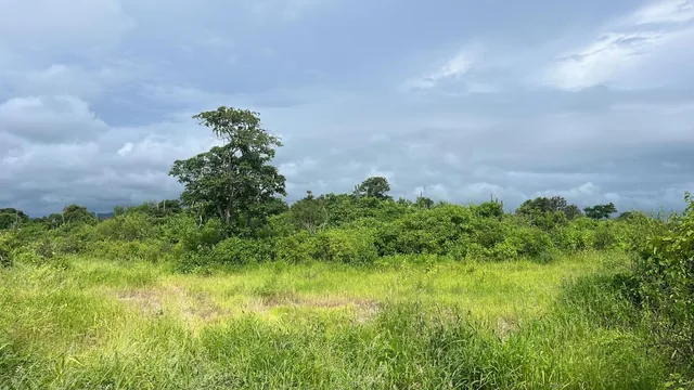 Vendo Terreno 60.000 m² en La Ruta del Spondylus Puerto Cayo Manantiales, Manabí — imagen 3