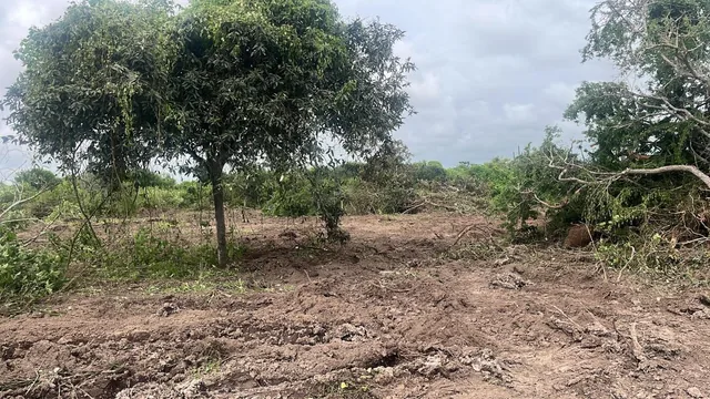 Vendo Terreno de 25.000 m² en Los Bajos del Pechiche Los Cardones, Manabí — imagen 4