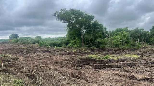 Vendo Terreno de 25.000 m² en Los Bajos del Pechiche Los Cardones, Manabí — imagen 3