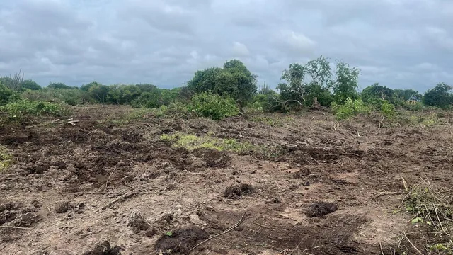 Vendo Terreno de 25.000 m² en Los Bajos del Pechiche Los Cardones, Manabí — imagen 2