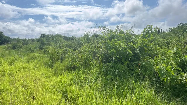 Terreno Para Proyecto Urbano, Manabí — imagen 3