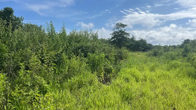 Terreno Para Proyecto Urbano, Manabí — imagen 2