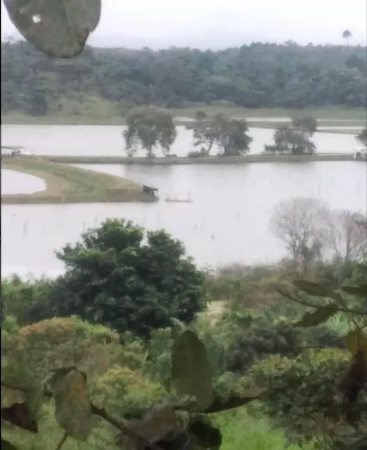 Vendo Camaronera en Producción, El Morro, Guayas — imagen 5