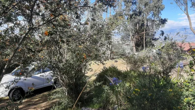Vendo Terreno de 11.000 Me El Capri — imagen 5