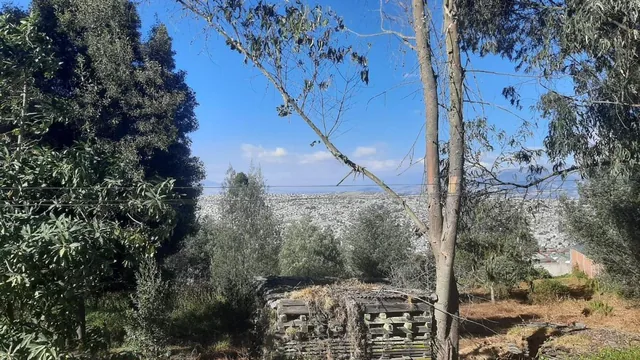 Vendo Terreno de 11.000 Me El Capri — imagen 2