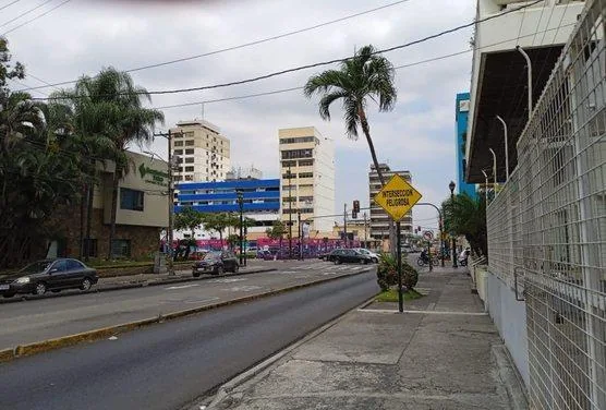 Se Vende Terreno de 240 m² en Centro de Guayaquil - C. Díaz, Guayas — imagen 2