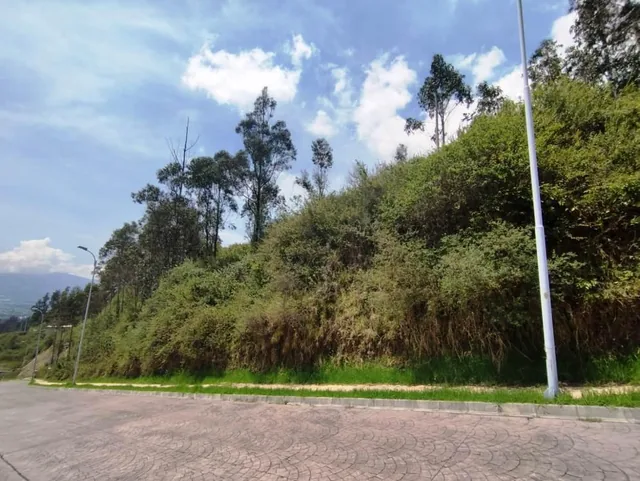 Terreno de 612 m² en Venta Sector Uide — imagen 3