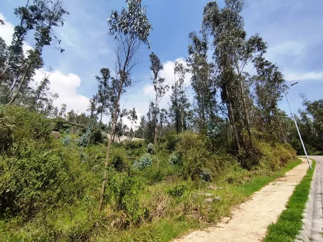 Terreno de 612 m² en Venta Sector Uide — imagen 2