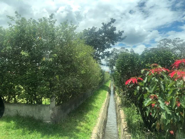 Espectacular Terreno de Venta en Puembo, Ideal Para Casas Familiares — imagen 3