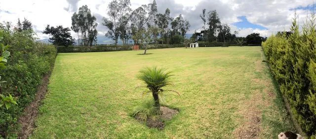 Espectacular Terreno de Venta en Puembo, Ideal Para Casas Familiares — imagen 2