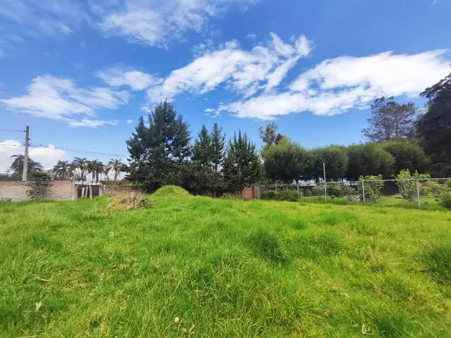 Terreno en Venta 1.750 m² en Puembo — imagen 5
