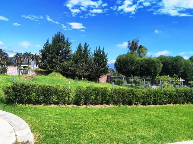 Terreno en Venta 1.750 m² en Puembo — imagen 3