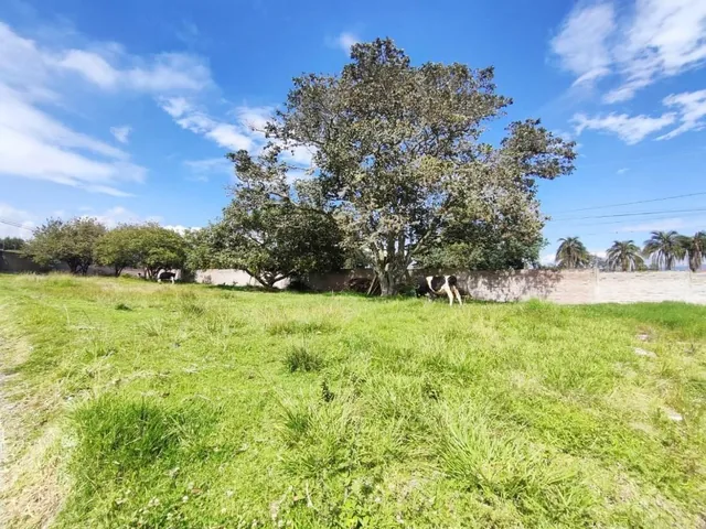 Terreno en Venta 1.750 m² en Puembo — imagen 2
