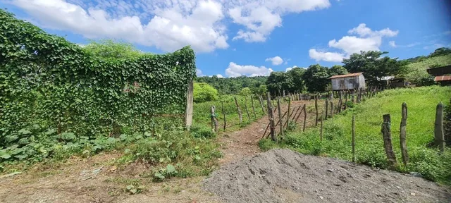 Terreno de 82720 m² en Venta en Nobol - P. Jimenez, Guayas — imagen 2