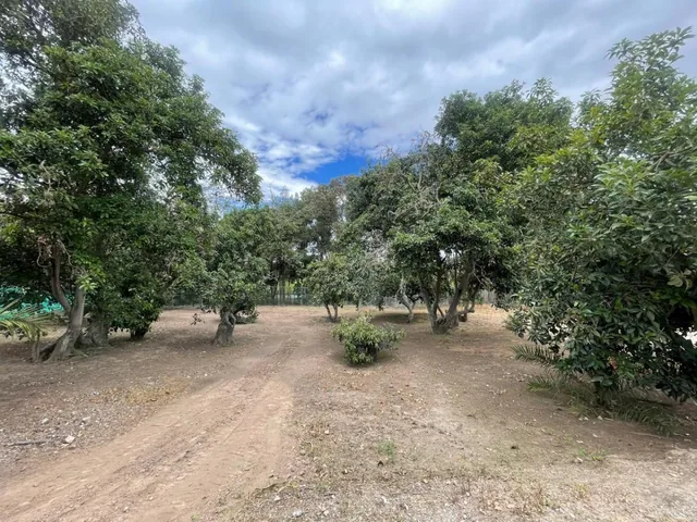 Terreno Bifamiliar de Venta, Puembo, Urb. Privada — imagen 2