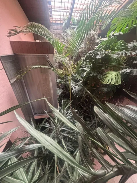 Vendo Terreno en La Calle Boussingault Muy Cerca de La G Suárez 700 m, Construcción 629 m — imagen 2
