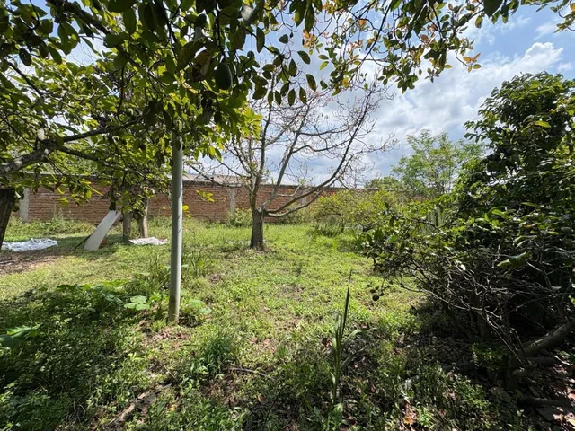 Terreno - Tumbaco — imagen 2