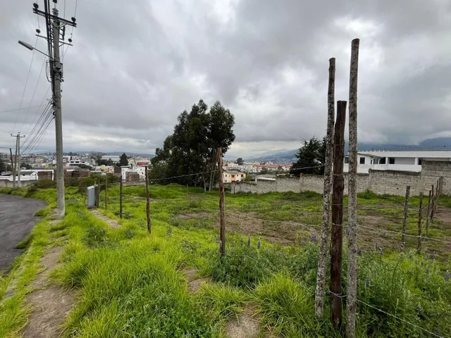 Terreno de 516 m² de Venta en Urbanización Ron Muñoz, Av Eloy Alfaro — imagen 4