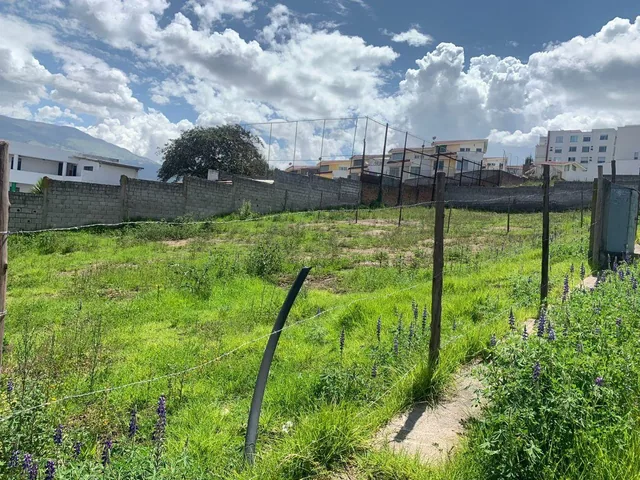 Terreno de 516 m² de Venta en Urbanización Ron Muñoz, Av Eloy Alfaro — imagen 2