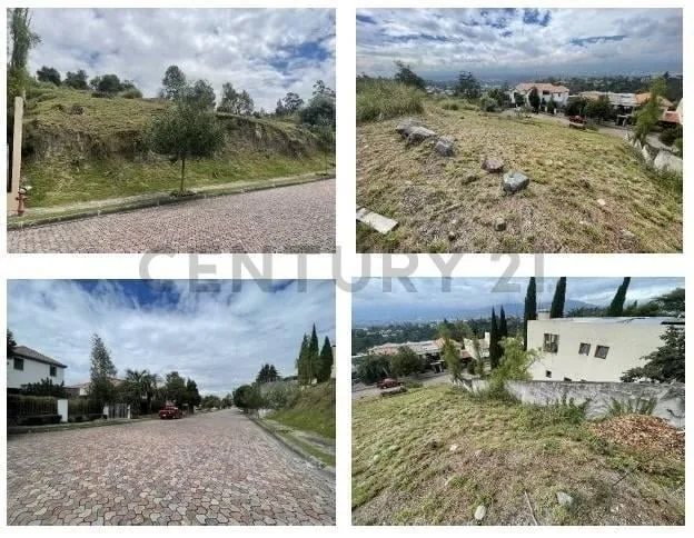 Venta Terreno Urb. Exclusiva Rancho San Francisco en Cumbaya Via Tanda — imagen 3