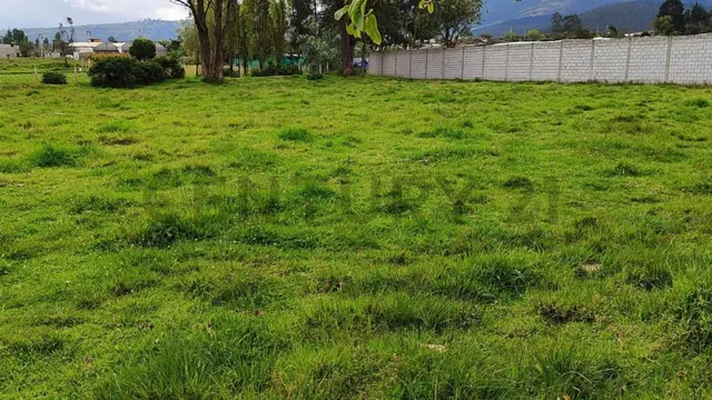 Dos Lotes de Terreno en Venta Parroquia Ascazubi - Cayambe — imagen 3