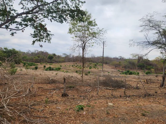 Venta 4 Has Km 23 Via a La Costa, Guayas — imagen 5