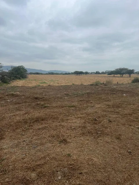 Terreno de 43306 m² en Venta Via Salitre Al Carretero, Guayas — imagen 5