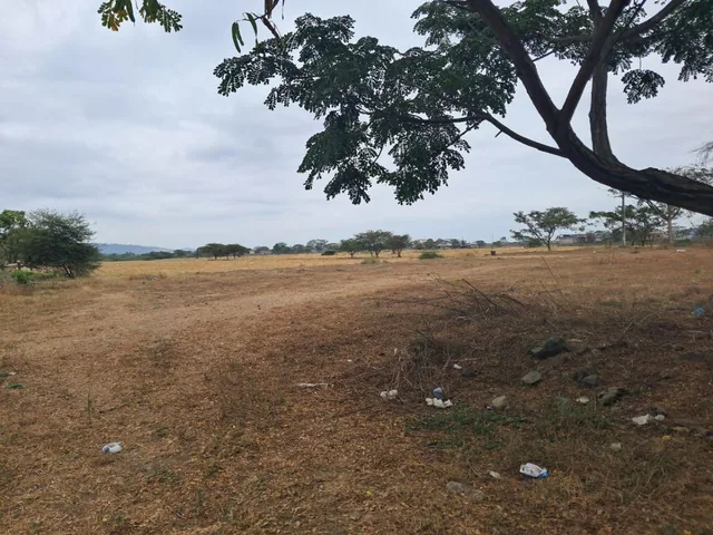 Terreno de 43306 m² en Venta Via Salitre Al Carretero, Guayas — imagen 3