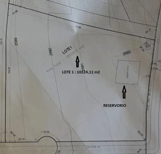 Venta de Hermoso Terreno Entre Puembo y Pifo — imagen 3