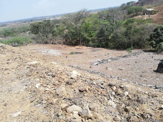 Venta de Terreno Industrial 8283 m² en Petrillo, Alto Impacto y Energía Trifásica, Guayas — imagen 5