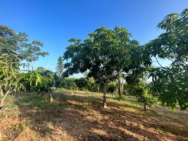 Terreno de 1772 m² en Venta en Fincas Colinas del Pacifico, Guayas — imagen 4