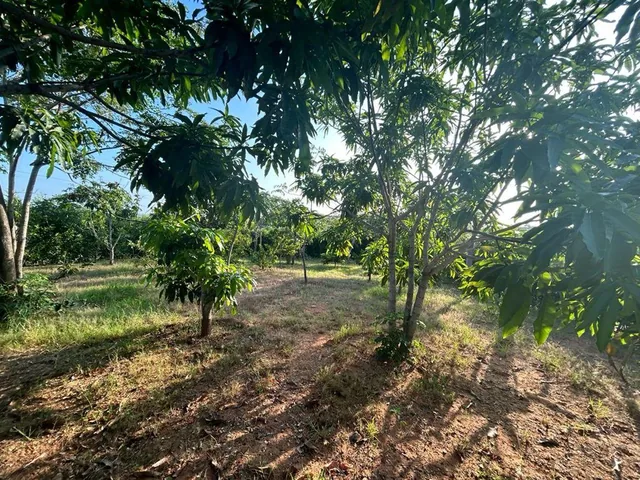 Terreno de 1772 m² en Venta en Fincas Colinas del Pacifico, Guayas — imagen 2