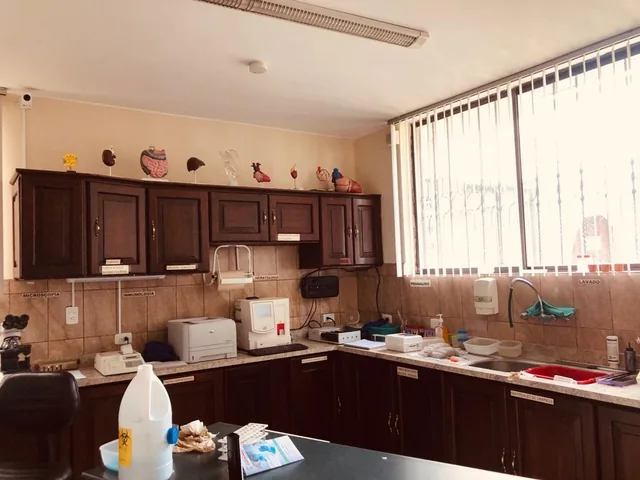 Casa en Centro Norte — imagen 5