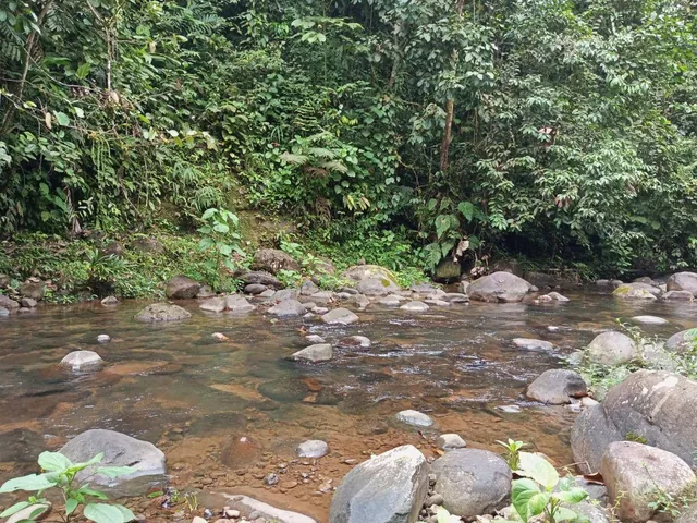 Vendo Dos Lotes Juntos Urb. Sinlanche Pedro V. Maldonado — imagen 4
