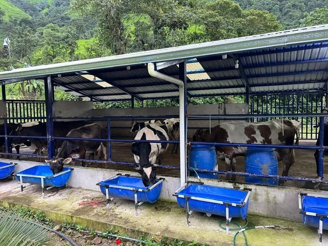 Venta de Finca en Chilla, El Oro — imagen 4