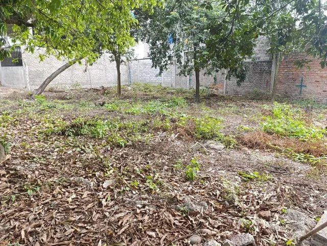 Se Vende Terreno en La Ciudadela Santa Elena, El Oro — imagen 5