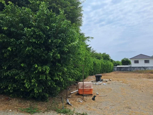 Via a La Costa Km 15 Terreno en Venta, Guayas — imagen 3