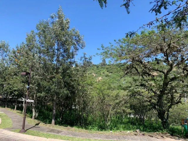 Terreno en Venta en Urb. La Viña Tumbaco — imagen 5