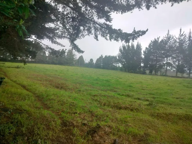 Terreno en Venta, Aloag, El Corazón Vía Aloasí — imagen 5