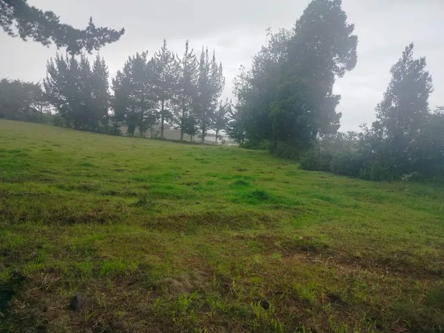 Terreno en Venta, Aloag, El Corazón Vía Aloasí — imagen 3