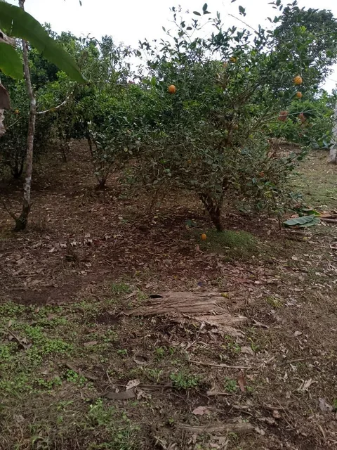 Terreno en Venta — imagen 3