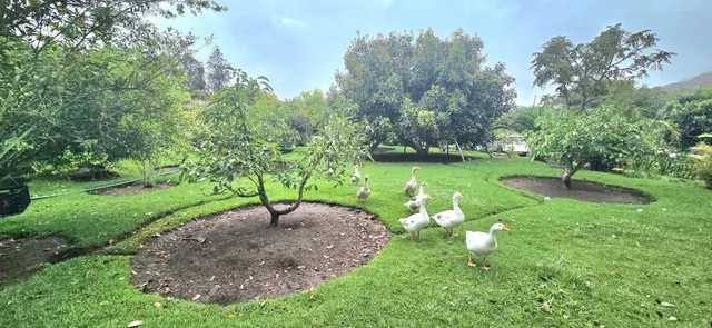 Se Vende Terreno en Guayllabamba — imagen 4