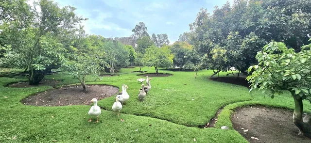 Se Vende Terreno en Guayllabamba — imagen 3