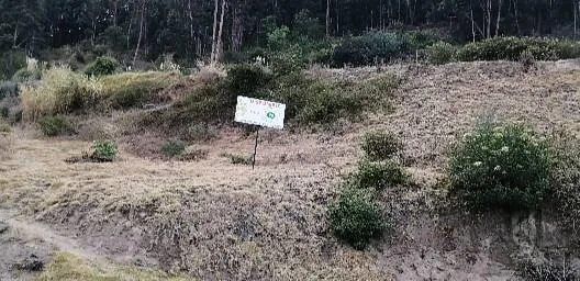 Lotes en Venta en Ficoa! Urbanización Privada. Bajó de Precio!, Tungurahua — imagen 4
