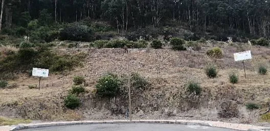 Lotes en Venta en Ficoa! Urbanización Privada. Bajó de Precio!, Tungurahua — imagen 2