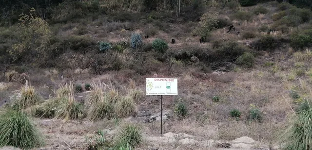 Terreno - Ambato, Tungurahua — imagen 5